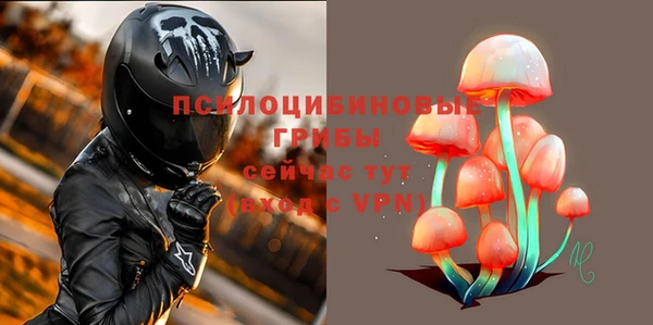 амфетамин Белокуриха