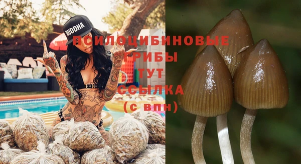 таблы Беломорск