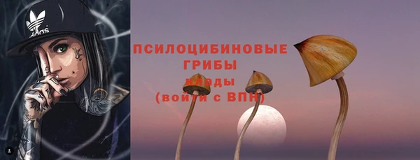 амфетамин Белокуриха